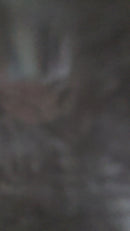 #196 Vestido Princesa vintage com bordados