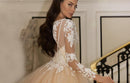 #229 Vestido Princesa Glamour Manga Longa